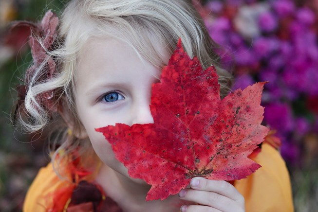 Speelplein Herfstvakantie